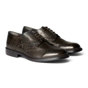 Derby brogue in pelle testa di moro